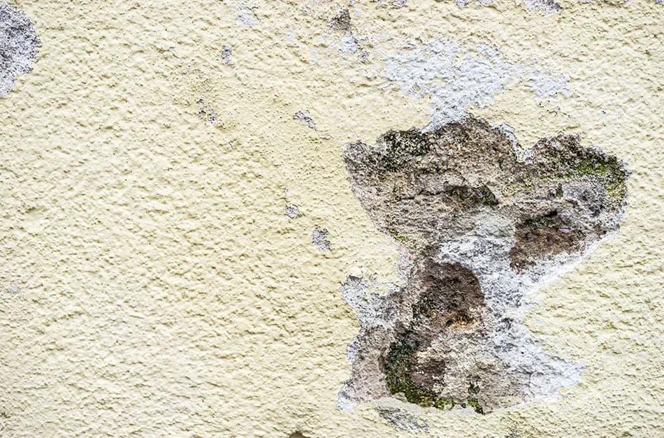 Jak naprawić dziurę w elewacji - uniknij kosztownych błędów w remoncie